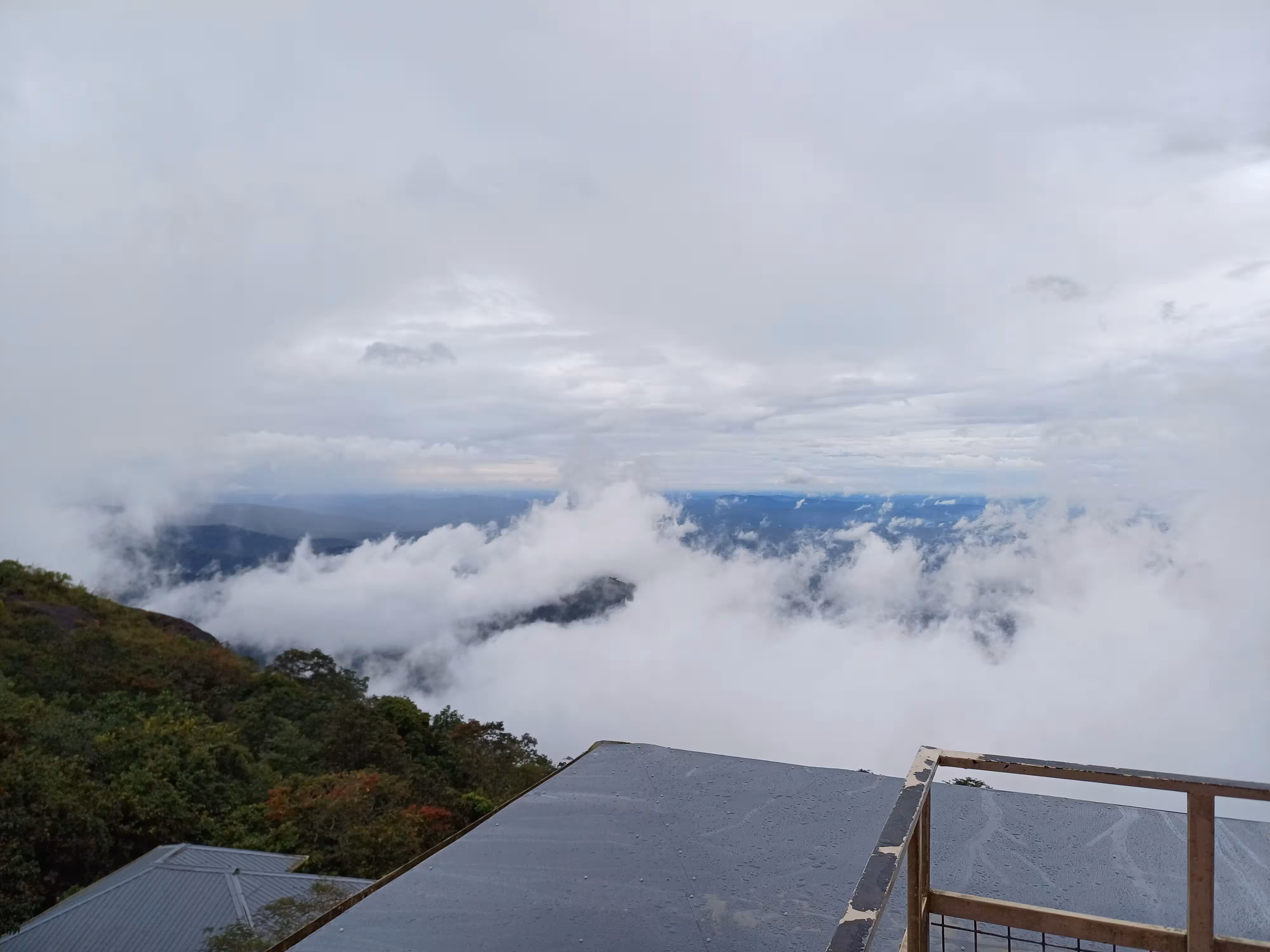Terrace & Balcony View